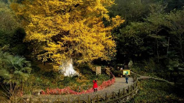 “彭派生活 仙山表达” 彭州这个小镇邀您来过“神仙日子”