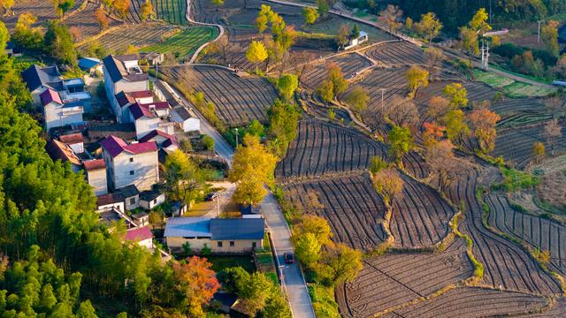 大别山中徐凤冲
