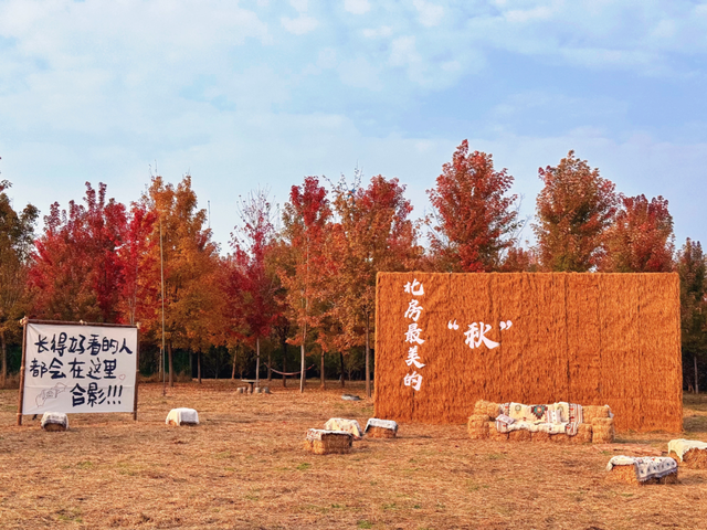 北房红枫林已到最佳观赏期，快来拍照打卡