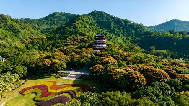 桂棹欸乃摇碎一江秋色，木棉灼灼织就绿城诗章！南宁暖霭中的花影