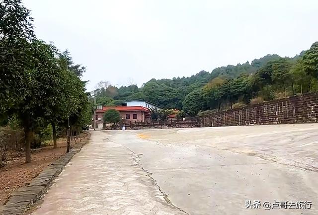 成都龙泉森林徒步路线，被严重低估，不要门票，拍照超级出片！