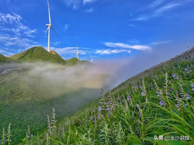 【牢记嘱托 感恩奋进】金沙:“全域旅游”绽新颜