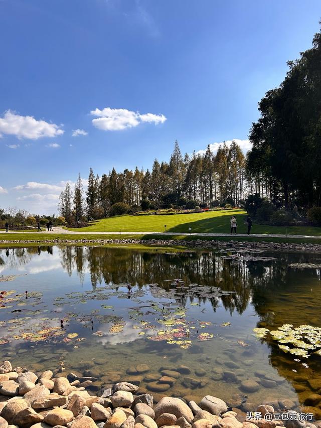 上海松江漫游指南邂逅人文自然与童趣之旅