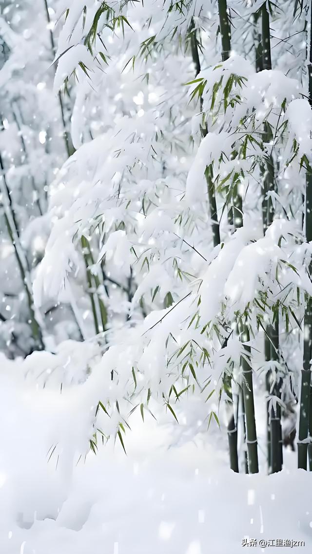 陕南瑞雪