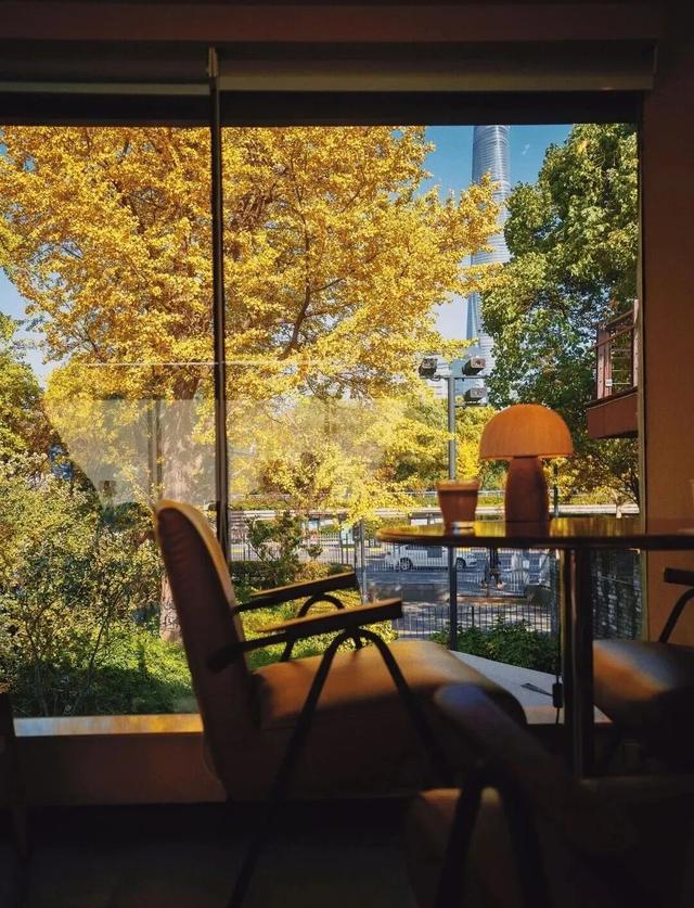 上海市中心又一公园拆除围墙！24小时开放！内藏明城墙和宝藏机位！怎么还有个“灶披间”？