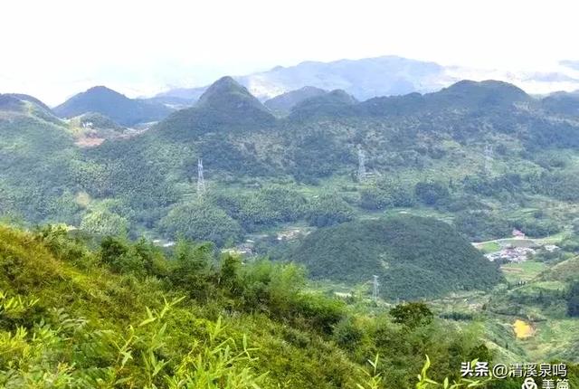云岩青莲记