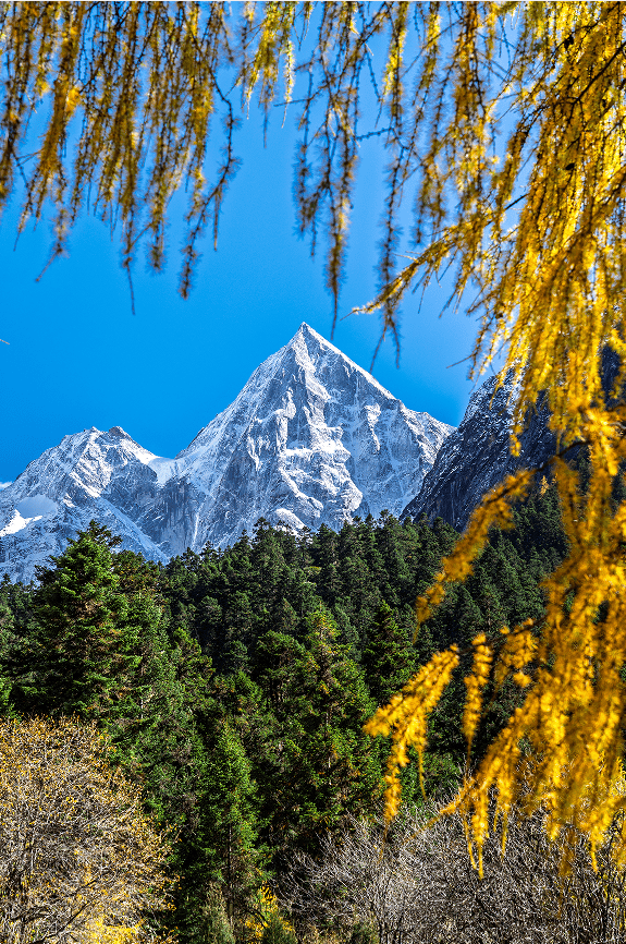 免门票丨毕棚沟献给全国师生们的秋日礼物！