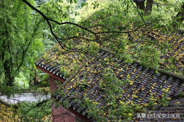 2023年春重庆探亲记（六）