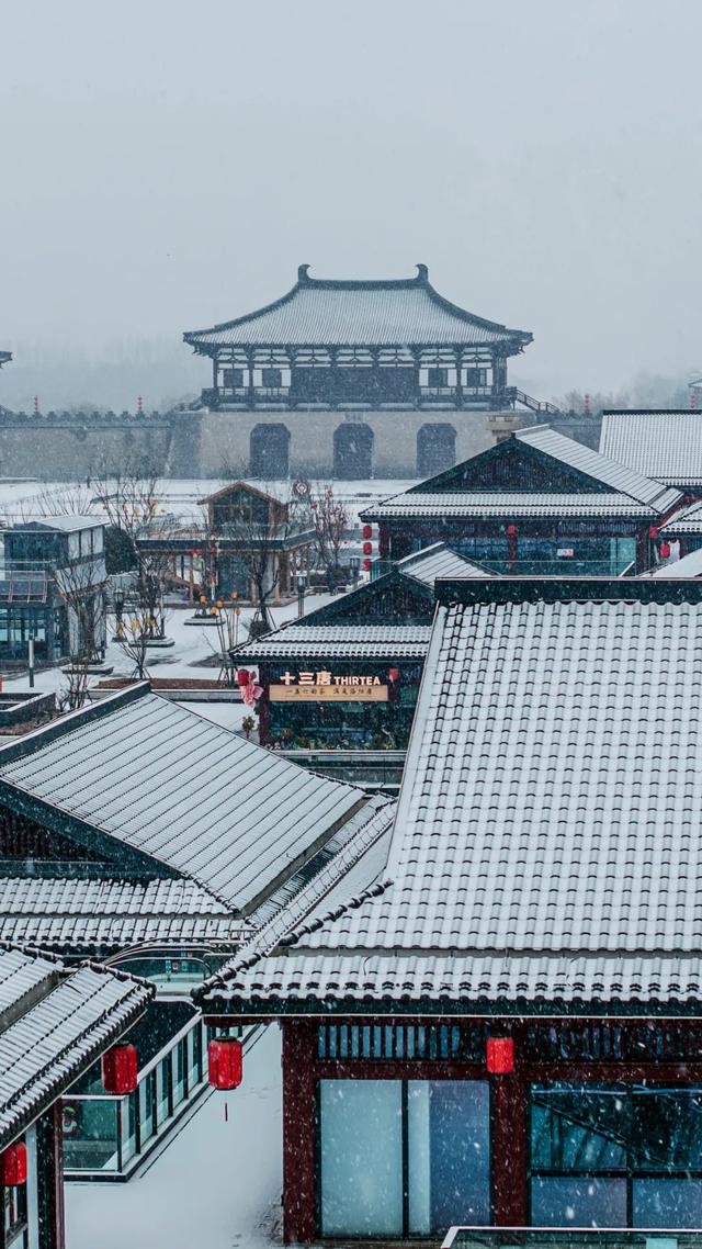 即将下雪！雪后的洛阳这么拍！8个超美打卡点...