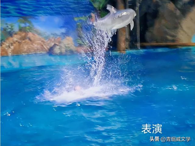 七月闲云行：沿海行记事