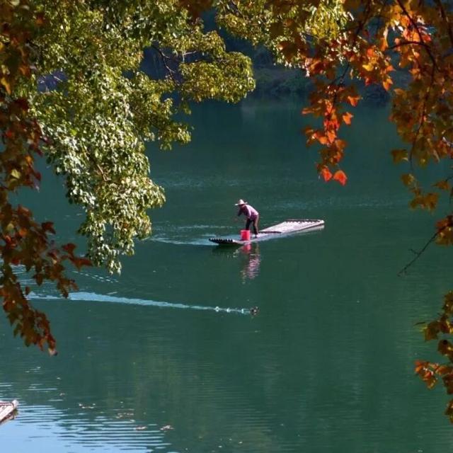 山水寻味，洽舍乡的冬日邀约 | 皖美冬日 | 第十五届安徽国际文化旅游节