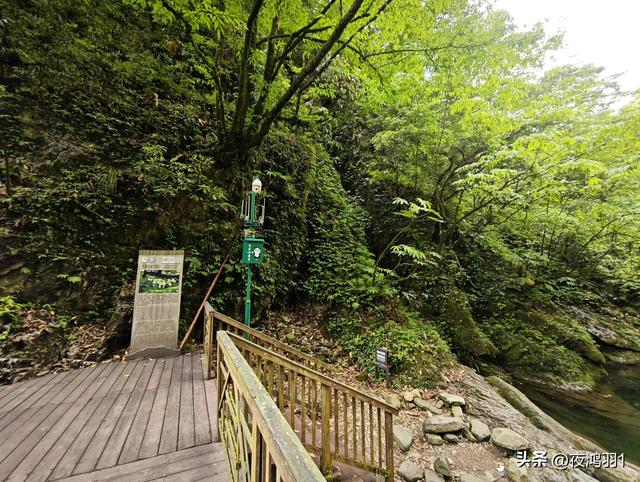 徒步瓦屋山,太艰难了,坚持下来不容易