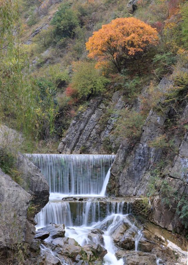 这才是秋天该有的样子~