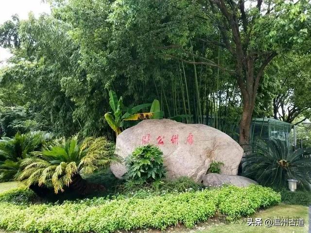 秀山丽水古处州，风光人文之旅，值得你来打卡！
