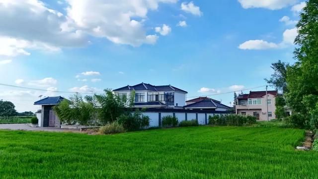 绿野乡间 诗意栖居