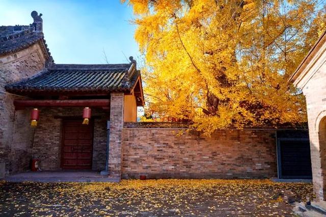 “刷爆”山西人朋友圈的金色，谁看谁心动