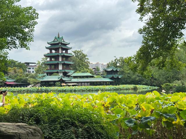 桂湖公园