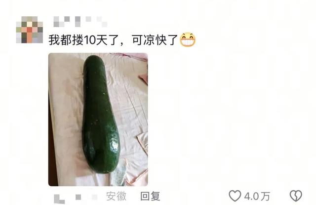 要是没法靠空调降温怎么办？别慌！给你支个超有意思的招🤩