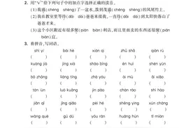 五年级语文上册，1-8单元核心考点专项练习及答案（共24页）~图片