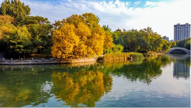 一叶知秋！2025年石家庄市城区赏秋指南来啦 这些地方别错过