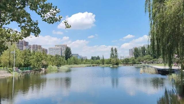 城景相融！城市中的诗意绿洲，来薛城赴一场“穿越时空”之旅！