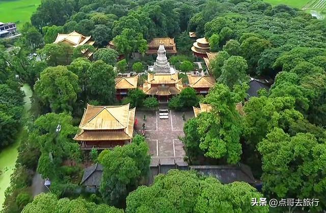 成都最不可低估的寺庙，金碧辉煌，充满皇家气度，公交可直达！