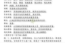 四年级下册语文，1-8单元《语文园地》重点考点总结，收藏复习图片