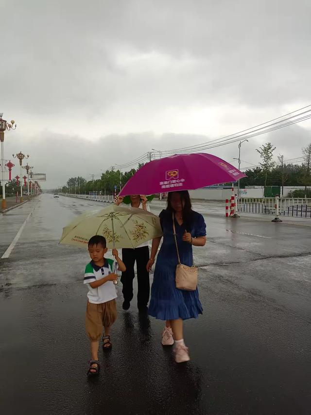 雨中游汝南和母校（作者：朱树理）