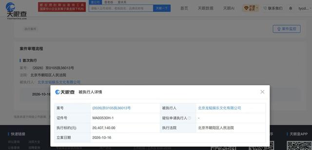 黄子韬公司被强执2040万
