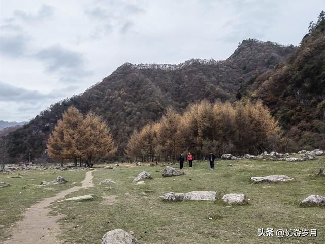 秦岭狮子沟牧场&牛奶湖