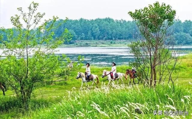收藏秋日宝藏学玩地图!趣游新洲,为知识充“秋”电