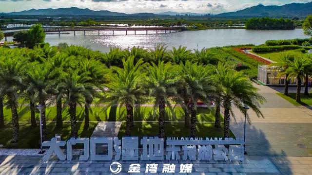 放花灯、吃美食！金湾这个公园，假期大活动！