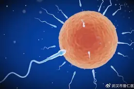 HCG检测两条杠，却未怀孕？揭秘早孕试纸的“乌龙”图片