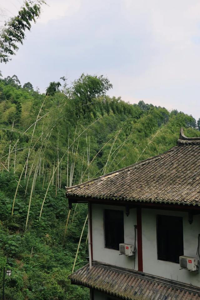 周末就冲！亲测3条被严重低估的徒步线，林海吸氧峡谷石窟！全部免费最快40min飙拢！