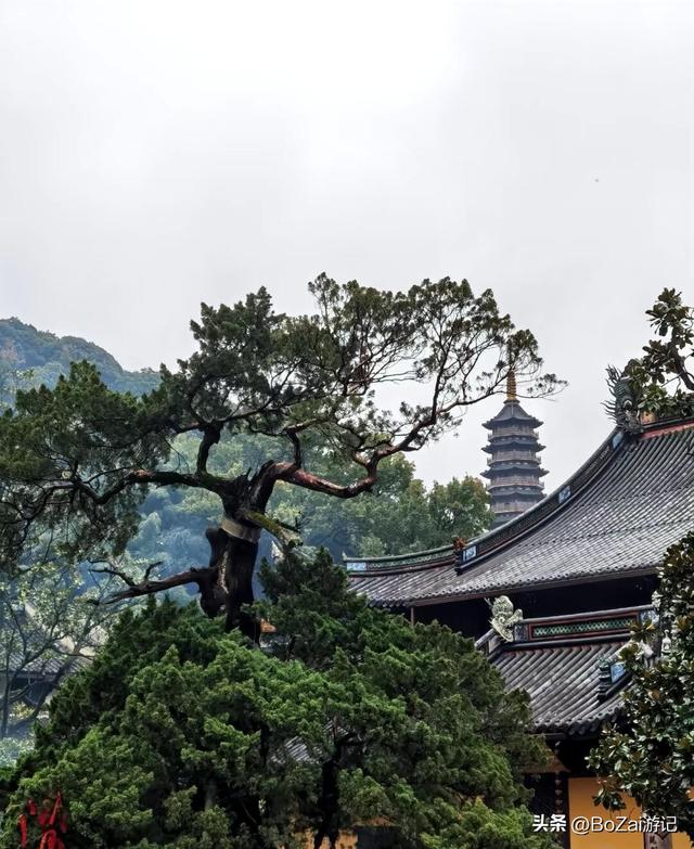 从热门寺庙看文化复苏,天童寺有何魅力,让人慕名而来