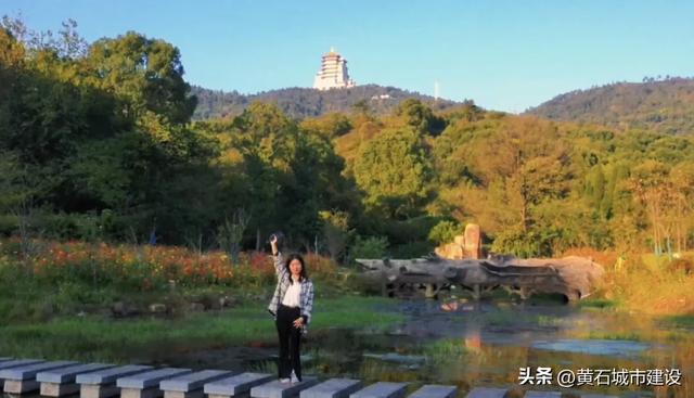 秋日遛娃天花板！黄石这里的百日菊花海美翻了