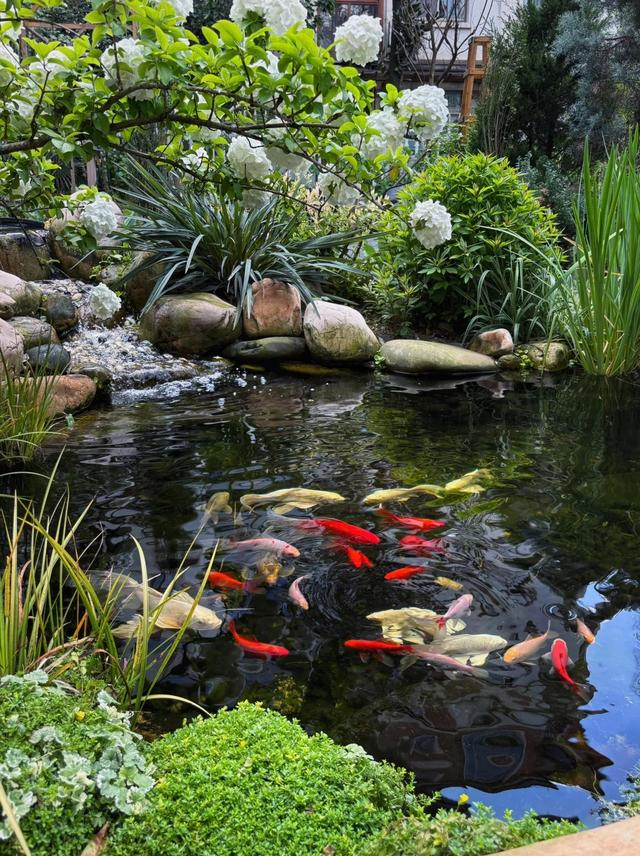 院子越小越要挖水池？没错！这就是“留白”的智慧！