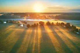 2025年起：小升初/幼升小再也没有暗箱操作、掐尖招生了？图片