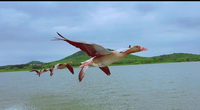 原来真的有城市，可以一天24小时都快乐~（2）