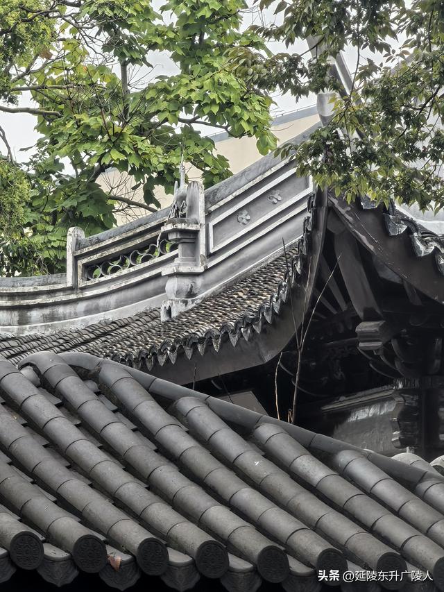 中秋时节行走江南水乡礼嘉镇 东岳庙 戏台 周陈桥 王氏宗祠