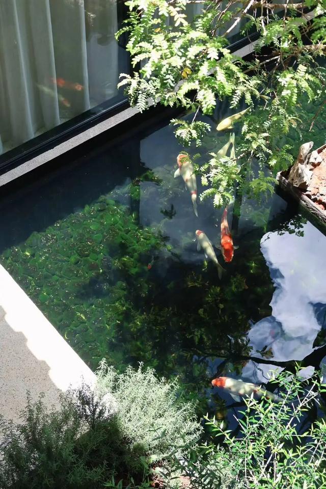 喜报！建水新增两家全国乙级民宿