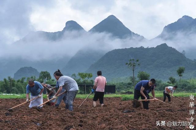 游寺指南 | 在广东韶关东华禅寺体验别样生活