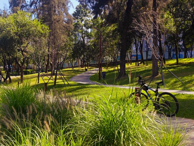 从学苑大道入大沙河绿过大学城后进深圳弯公园流花山景点【高清】