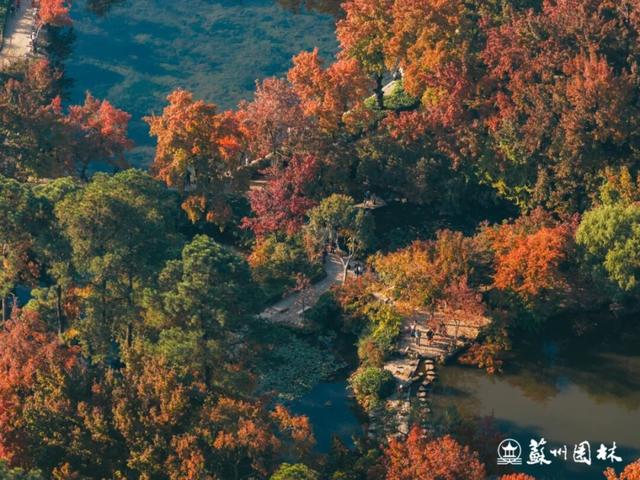 天平山红枫正式迈入最佳观赏期，美！