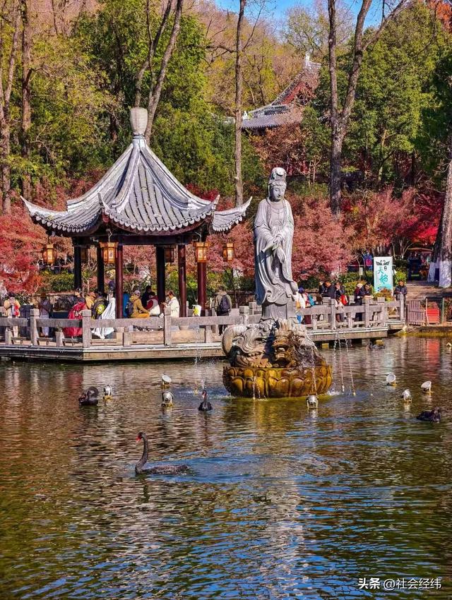 枫染栖霞醉金陵！明秀山红叶铺就秋日限定画卷