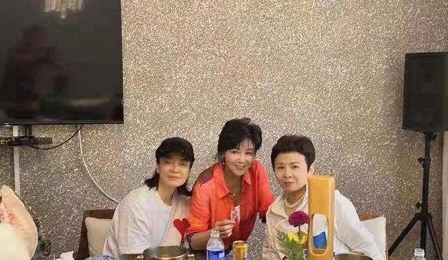 63岁董文华不再沉默，揭露当年被“封杀”原因，原来我们错怪她了