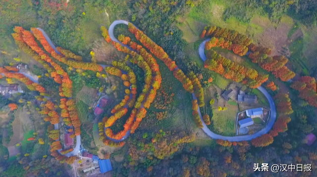 秋色浓度超标！汉中这座小城值得奔赴！