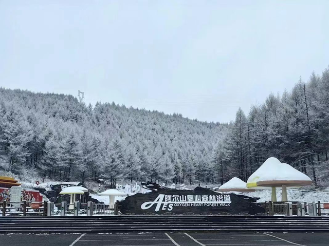 一座3万人口的小城，一年涌入600万游客！凭什么？