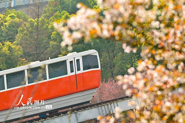重庆：开往春天的列车