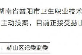 主动投案！湖南省益阳市卫生职业技术学校党委委员、副校长鲁雪华接受审查调查图片